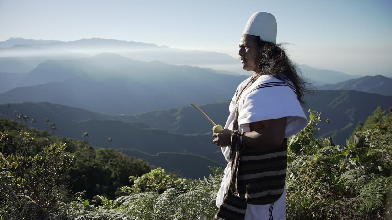Este es el llamado de alerta que hacen al mundo indígenas de la Sierra Nevada