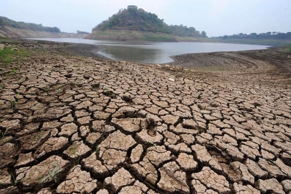 Las autoridades sanitarias han certificado que los decesos son por inanición y no por el padecimiento de enfermedad alguna.