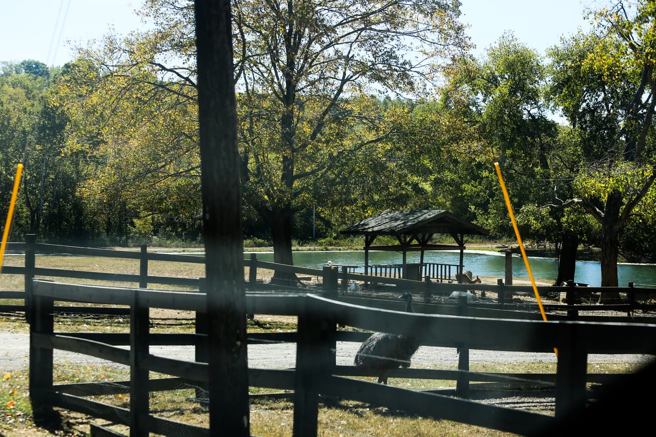 Se trata del Brookhaven Retreat Rehabilitation Center en Seymour, Tennessee.
