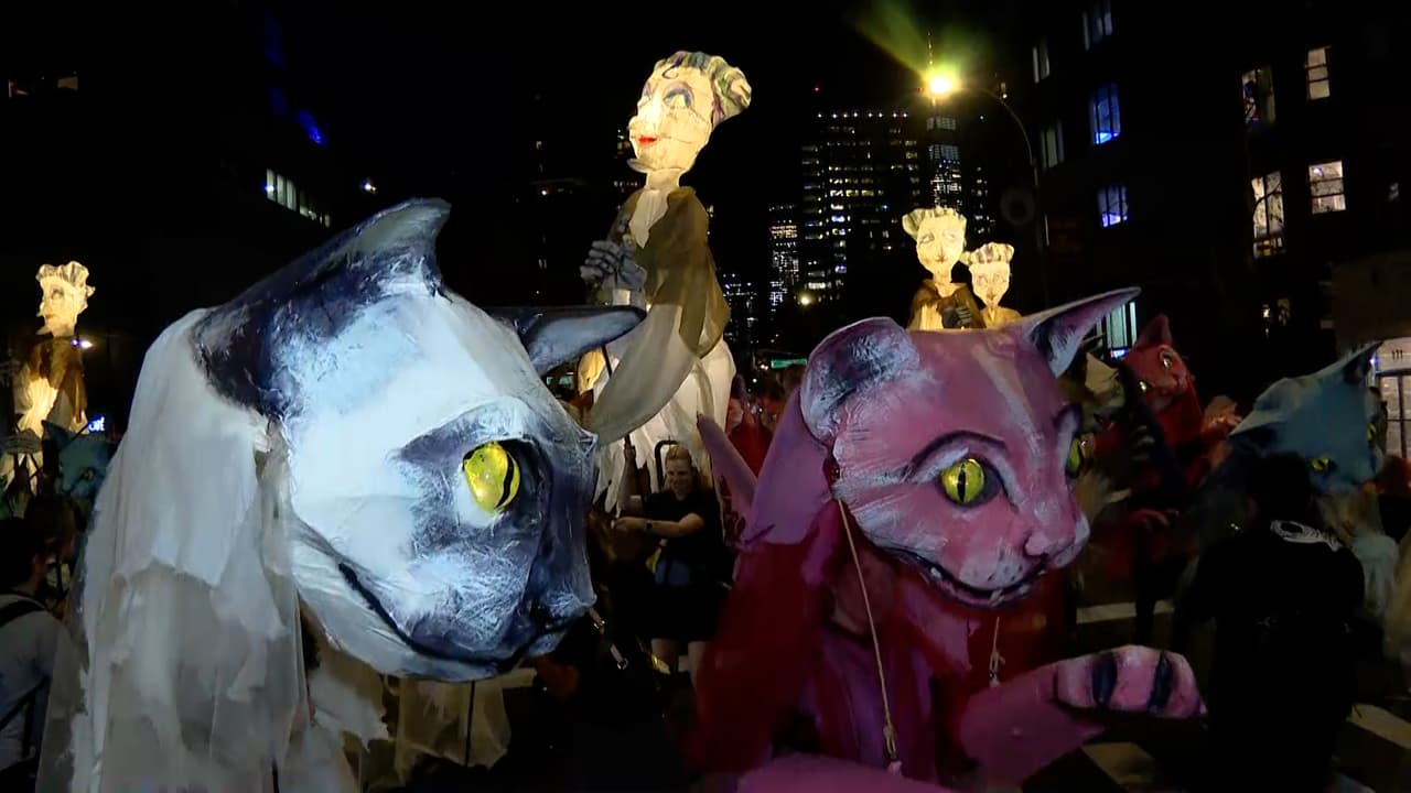 Este año, 
<b>el tema del desfile fue ¡Miau! </b>Razón por la cual se pudieron observar carrozas con felinos de enorme tamaño.
<br>