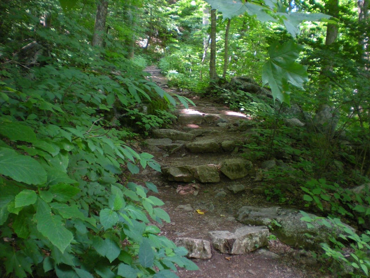 El sendero panorámico circular de 2.5 millas a Crabtree Falls es de moderado a extenuante y cuenta con una pendiente pronunciada y un terreno rocoso. Los excursionistas deben permitirse de 1.5 a 2.5 horas para toda la caminata.