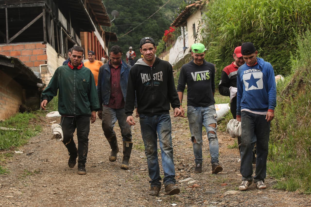 Algunos venezolanos se han integrado a la industria cafetera colombiana, una de las más importantes del mundo. En la fotografía un grupo de inmigrantes venezolanos en una finca de café en Ciudad Bolívar, departamento de Antioquia, Colombia.