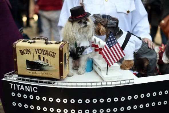 Nada mejor que un buen traje con corbatín y clásico sombrero de copa alta para darle un toque de nostalgia a tu amigo perruno y disfrutar de esta aterradora noche de muertos.