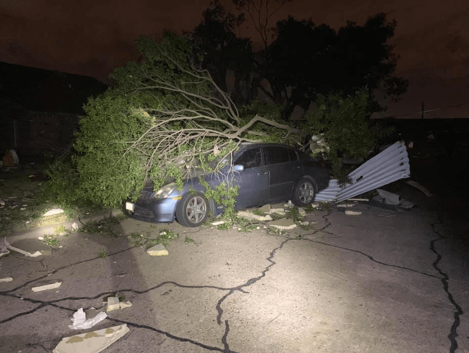 Varios autos en el norte de Dallas sufrieron daños por árboles derribados por la fuerza del viento