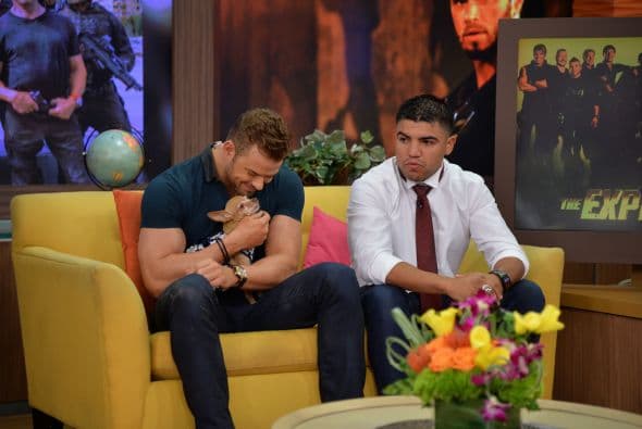 Kellan Lutz en Despierta América