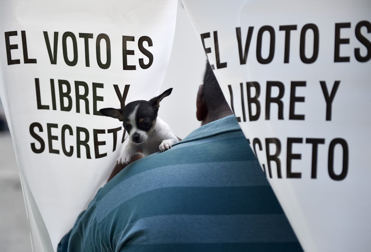 El Estado de México es considerado la joya de la corona de estas elecciones por se el estado con el mayor número de votantes en el país y el lugar donde el PRI ha gobernado 88 años.