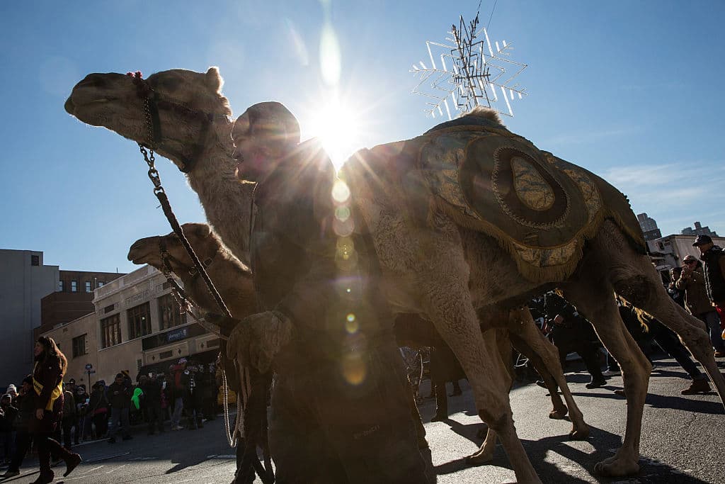 Varias escuelas de la comunidad llevaron a sus estudiantes para que presenciaran el evento.