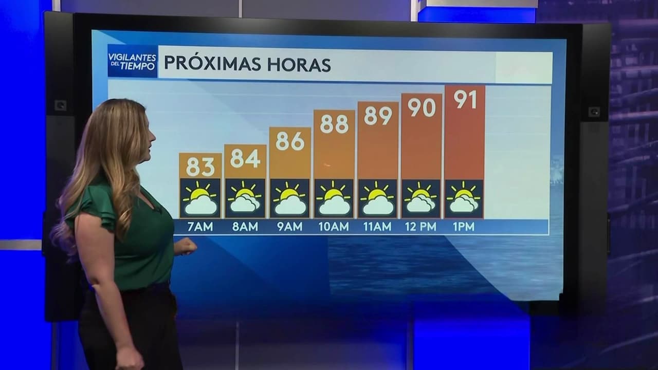 Pronóstico del tiempo hoy en Miami: Día cálido con ráfagas de viento; el termómetro alcanzará 94 °F