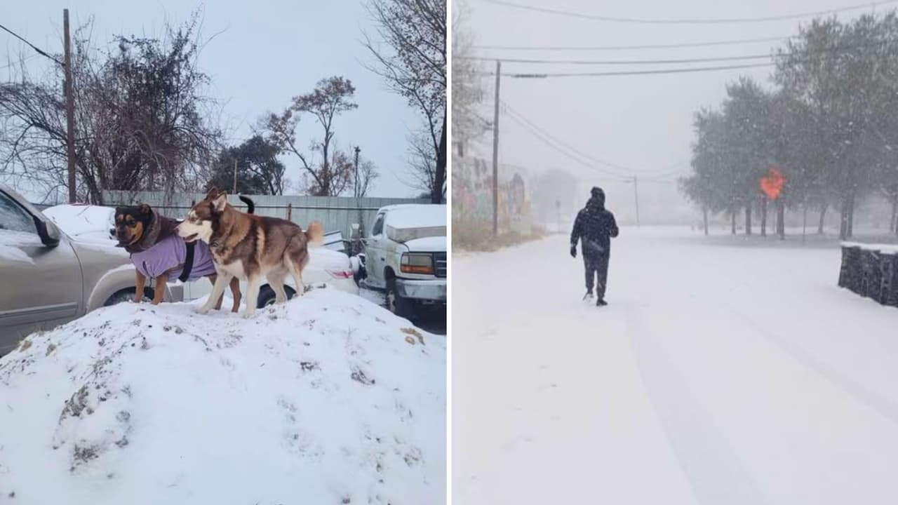Liz Domínguez Parada nos muestra a sus dos perros disfrutando felices de la nieve, mientras Andrea Granados comparte su paseo invernal por Canal St. ¡Momentos únicos que deja la primera nevada del año!
