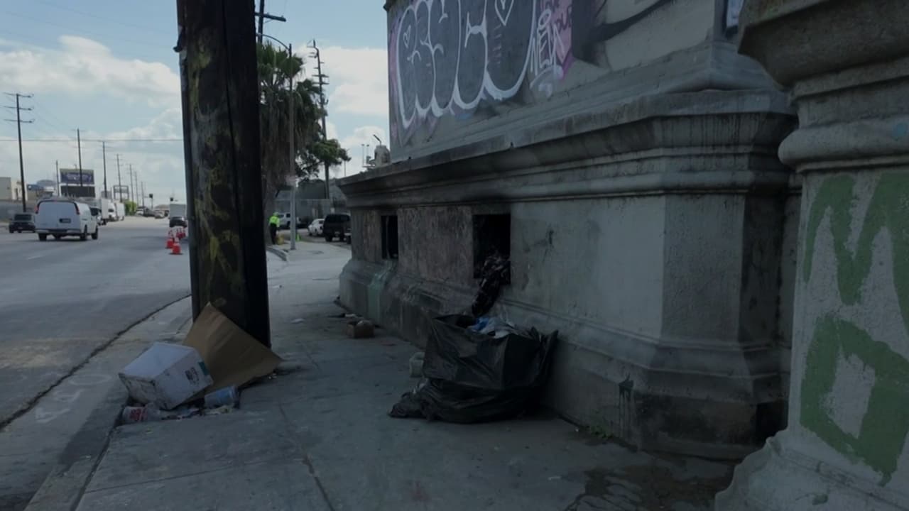 Crisis en Los Ángeles: personas sin hogar sobreviven bajo puentes en condiciones extremas