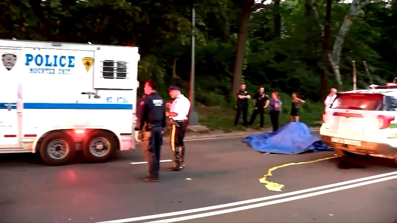 La muerte del caballo de carruaje Deniz en NY desata preocupaciones por posible planta tóxica en Central Park