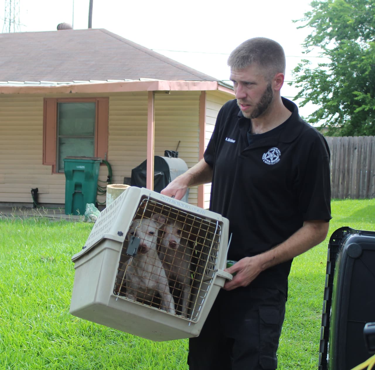 <b>Todos los perros, junto con un pájaro hallado en el lugar, fueron rescatados</b> y ahora están bajo el cuidado de la SPCA de Houston, donde reciben evaluaciones médicas exhaustivas y tratamiento individualizado.
<br>