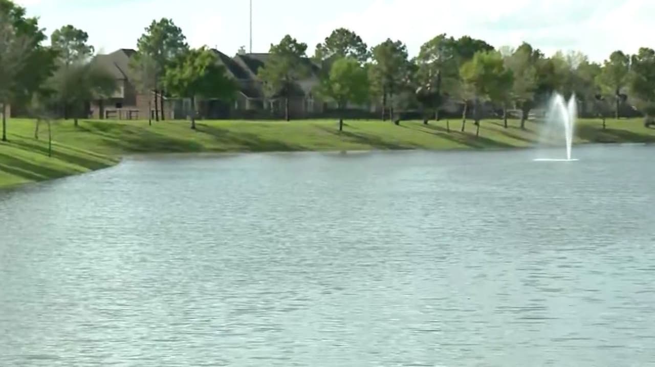 Hallan sin vida a niña de 7 años con autismo que había sido reportada desaparecida en Pearland