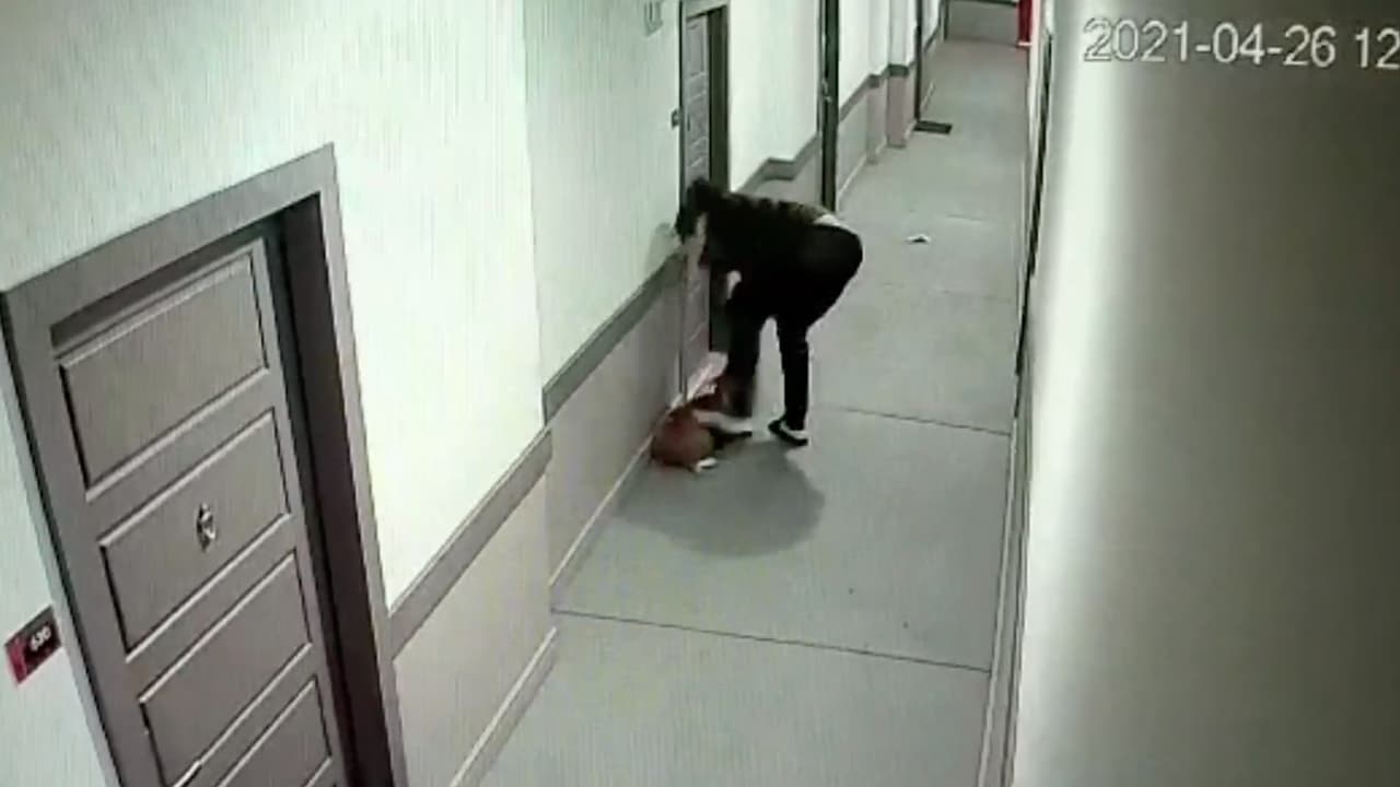 El 30 de abril las cámaras captaron cuando un hombre golpea en varias ocasiones a sus dos perros.