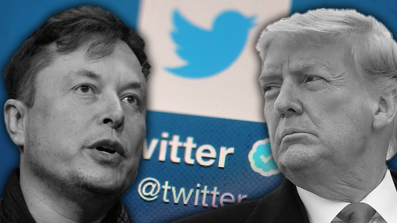 ¿Volverá Trump a Twitter? y otras preguntas sobre la red social luego que Elon Musk tomó el control
