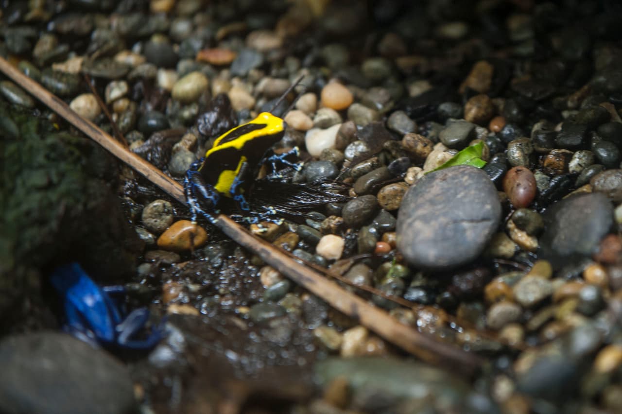 Un bello dia fue perfecto para las familias desde Bakersfield a Modesto.