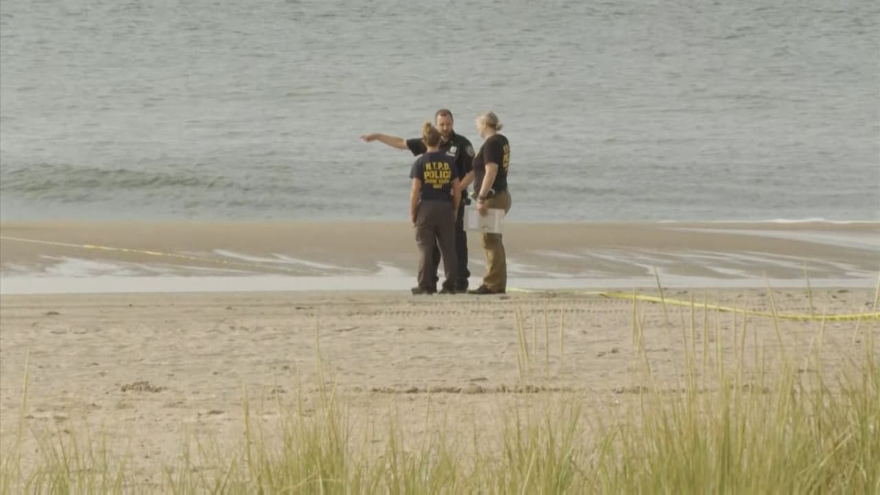 Evaluarán si mujer bajo sospecha de ahogar a sus tres hijos en Brooklyn sufría de psicosis posparto: qué es y por qué hay que pedir ayuda  