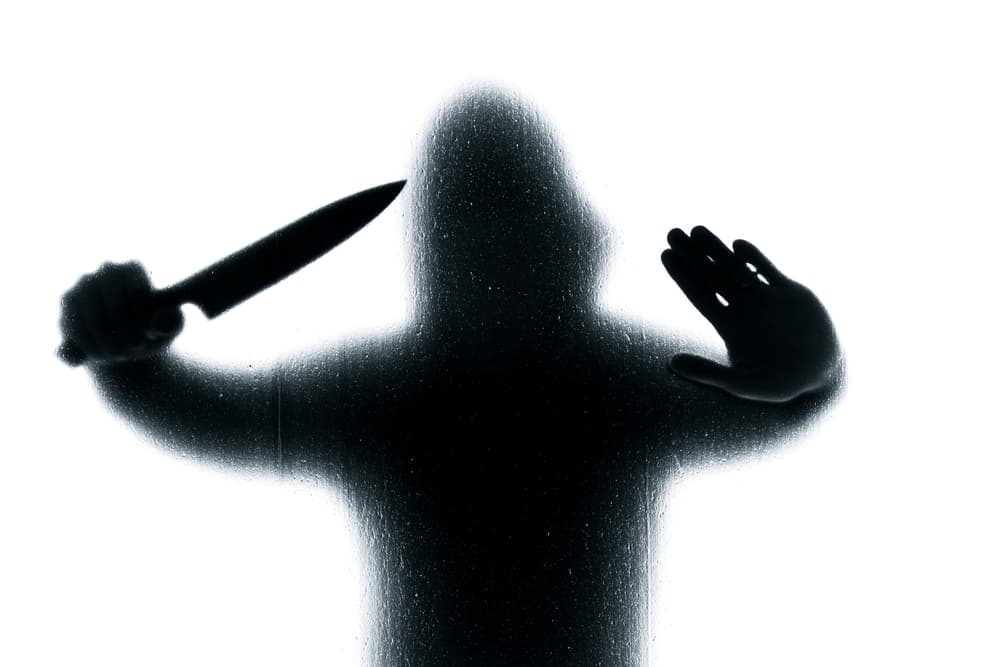 <b>LIBRA</b>
<br>Ellos son el mejor amigo del protagonista. Los que son muy amables, conciliadores, agradables y que se ganaron al público. Aunque intenta abiertamente estar calmado y que los demás no se asusten, por dentro está aterrorizado.