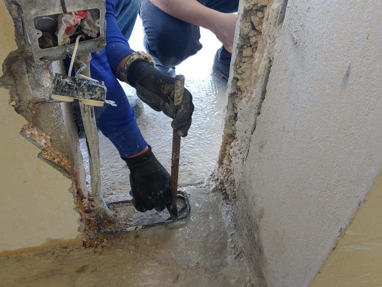 Los padres buscaron alternativas como "homeschooling" y escuela virtual.