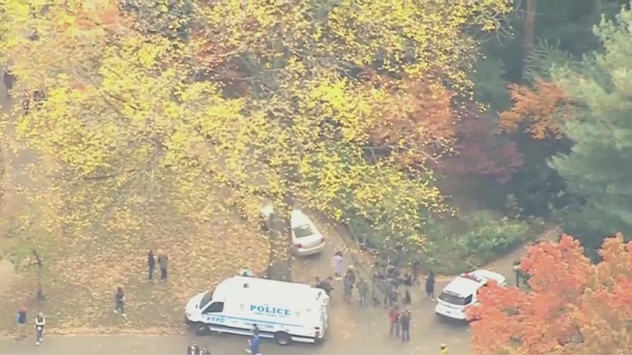 Mujer es agredida sexualmente en Central Park, podría estar vinculado a otro ataque