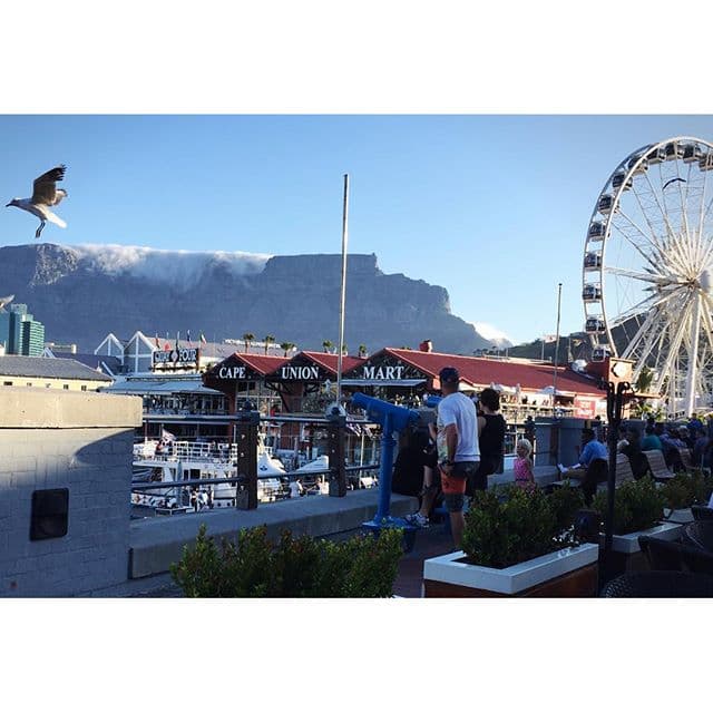 Elizabeth demostró ser la mejor paparazzi de su familia, pues también les tomó fotos 'in franganti'.