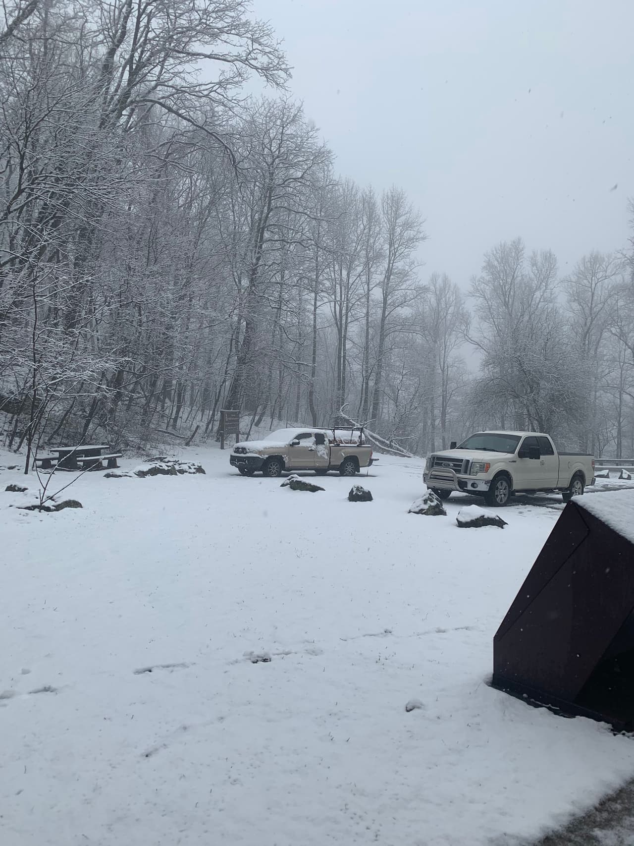 También se ven vehículos con una capa luego de la nevada.