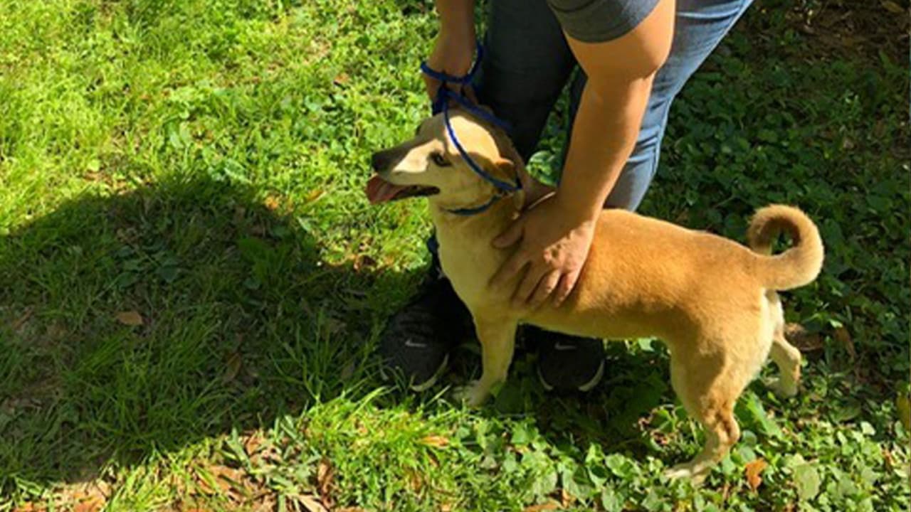 Los propietarios de la vivienda no estaban en el lugar.