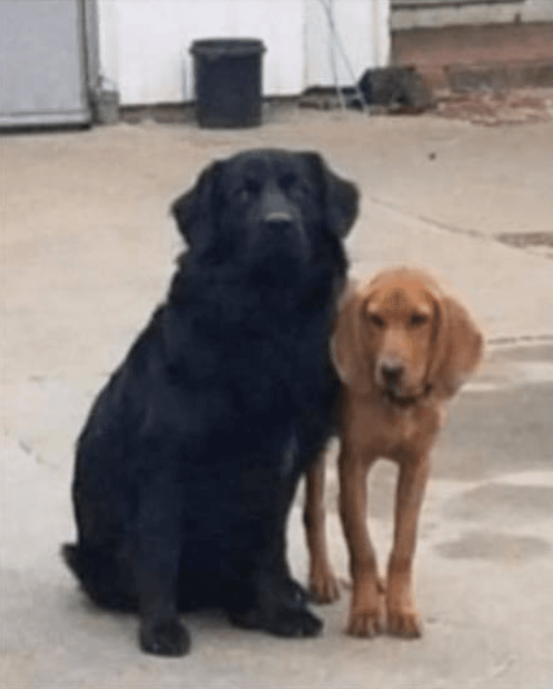 Jack (izquierda) sigue desaparecido. Hammer (derecha) no sobrevivió al accidente.