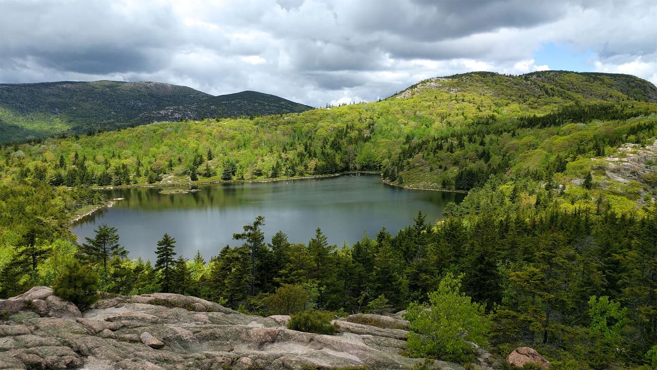 El Parque Nacional Acadia de Maine se extiende sobre los bosques caducifolios orientales y boreales del norte, atrayendo aves cantoras reproductoras, incluyendo casi dos docenas de especies de currucas en verano.