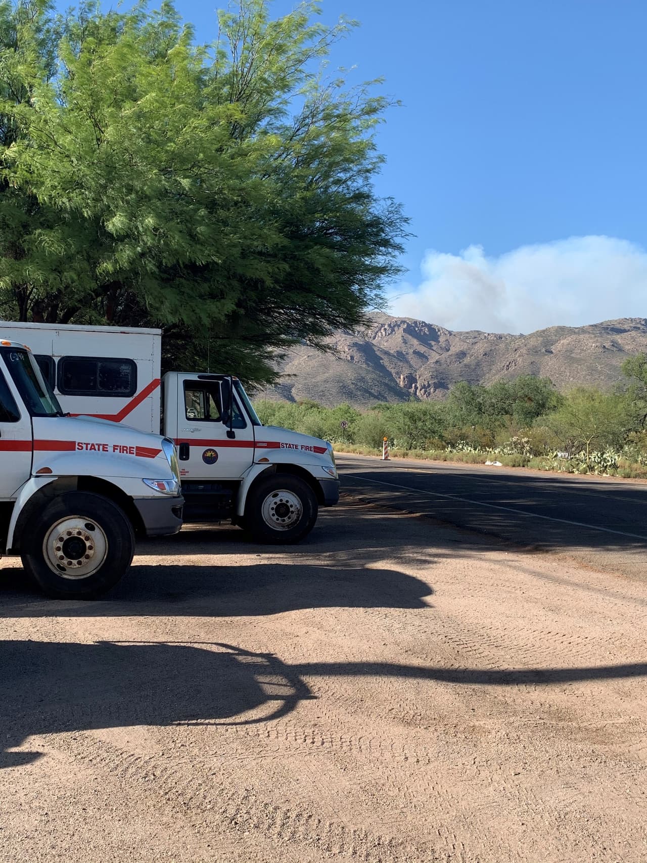 Residentes en el área también pueden llamar al 351-FIRE (3473). Visite 
<b><a href="https://az511.com/" target="_blank">AZ 511</a></b> o llame al 511 para obtener información actualizada sobre el cierre de carreteras.
<br>