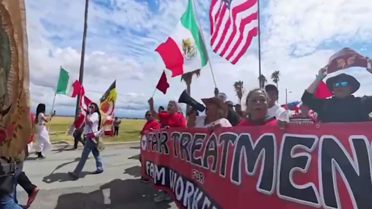 Sindicato UFW despliega patrullas y protege a trabajadores del campo ante ICE