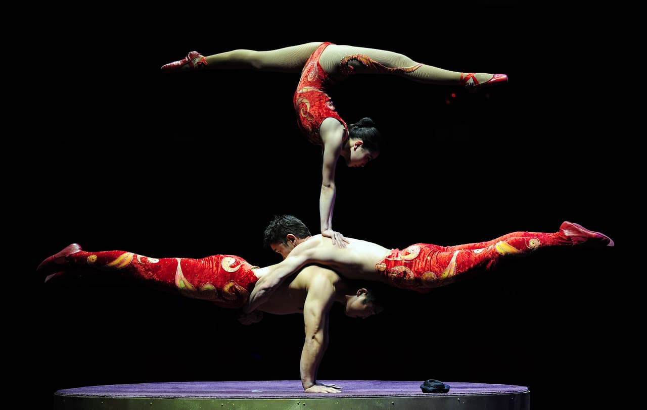 El circo, con sus animales exóticos, artistas que desafiaban la muerte y otros sorprendentes espectáculos, cautivaron a la gente desde mediados de los 1800.