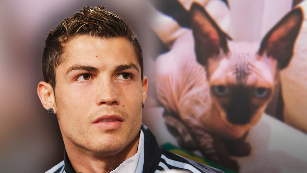 El multimillonario Cristiano Ronaldo no escatima en gastos para salvar a su exótico gato 'Pepe' 
