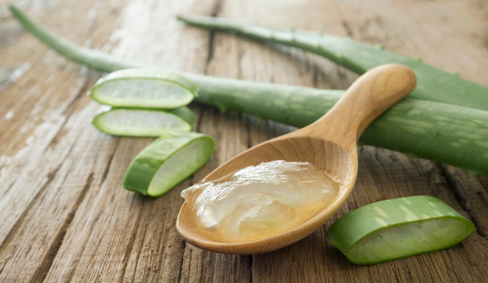Elasticidad de la piel y humectación. El aloe vera tiene una acción humectante por lo que algunas cremas lo incluyen en sus fórmulas. Su aplicación tópica mejora la elasticidad de la piel. Al usarlo constantemente la piel se siente más suave, elástica y humectada.