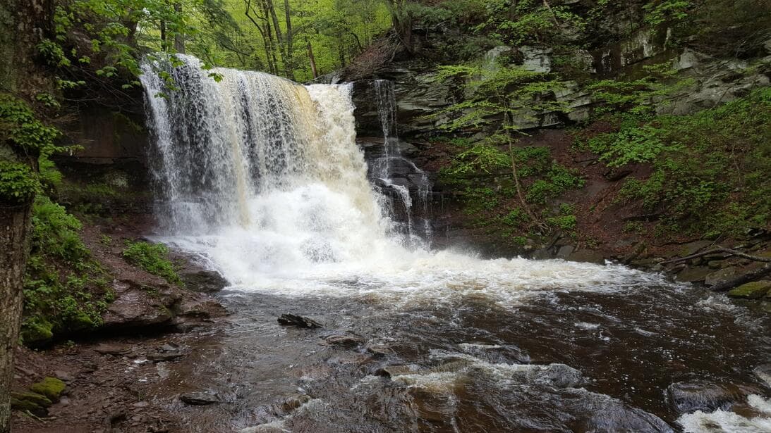 <b>PRIMAVERA</b>: 
<b><a href="https://www.dcnr.pa.gov/StateParks/FindAPark/RickettsGlenStatePark/Pages/default.aspx">Ricketts Glen State Park</a></b> es una de las áreas más pintorescas de Pensilvania. El gran parque se compone de 13,050 acres y alberga el Área Natural Glens, un Monumento Natural Nacional. El parque alberga el increíble y muy popular Falls Trail, que cuenta con una serie de cascadas que fluyen libremente, cada una de las cuales cae a través de hendiduras cubiertas de rocas en esta antigua ladera. Las Cataratas Ganoga de 94 pies son las más altas de 22 cascadas con nombre. Ricketts Glenn tiene muchas opciones para acampar, incluidas mascotas, y es uno de los parques favoritos por sus rutas de senderismo, pesca, playa para nadar y más.