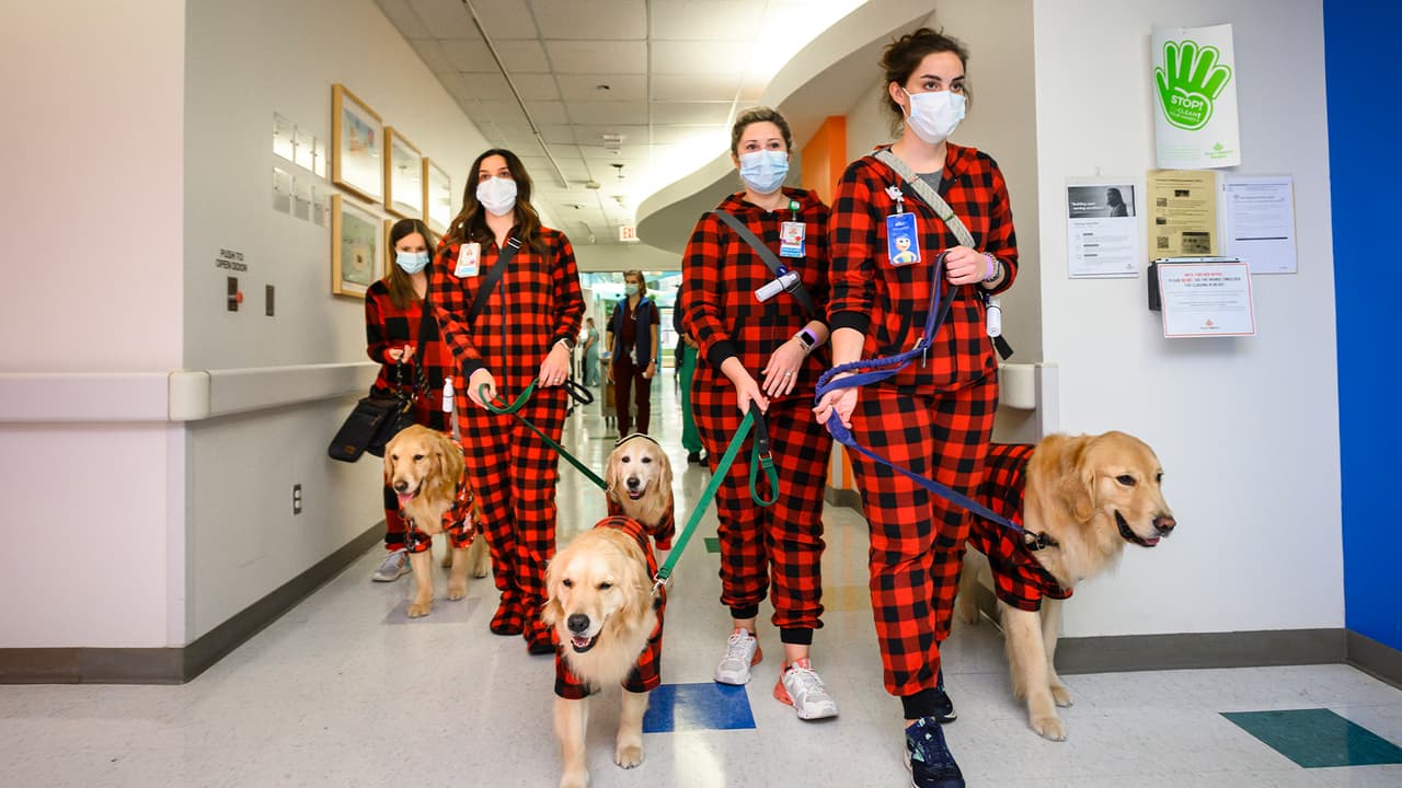 Pacientes del 
<a href="https://www.univision.com/local/houston-kxln/nino-se-encuentra-en-el-texas-childrens-hospital-tras-la-avalancha-humana-en-el-festival-astroworld-de-travis-scott">Texas Children's Hospital</a> en Houston recibieron la visita de un grupo de perros en pijama.
