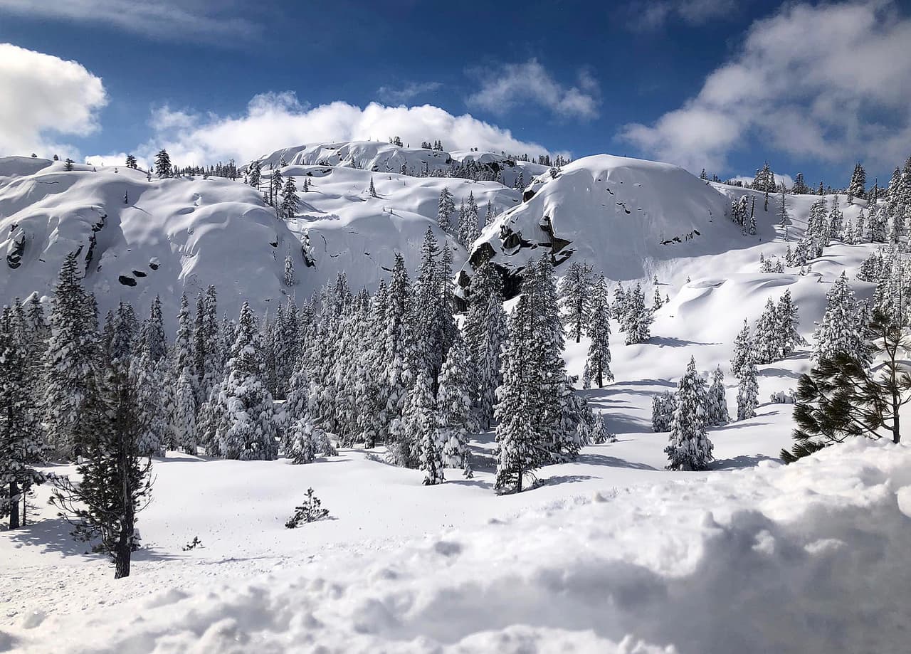 No, no es Colorado, esta foto fue publicada por la patrulla de caminos en Truckee, California. Muestra montañas y árboles cubiertos de nieve. (California Highway Patrol Truckee via AP)