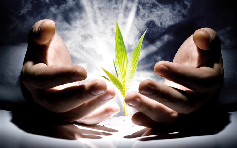 Los desastres naturales no se pueden evitar, pero sí nuestra reacción. Los nervios, la ansiedad, el pánico a veces son inevitables pero son controlables, y lo que queremos aquí es regresarle amor, buena vibra y energía al mundo. Hazlo aportando más plantas, flores y vida a la tierra dentro de lo posible.