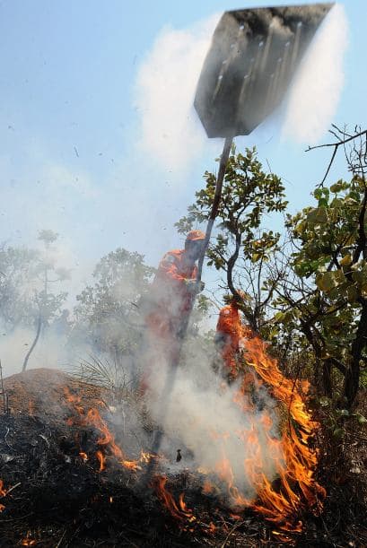 La extensión que fue consumida por las llamas es equivalente al 35 por ciento de la extensión, del Parque Nacional Chapada dos Veadeiros, declarado Patrimonio de la Humanidad por la Unesco por la riqueza de su fauna y su flora.
