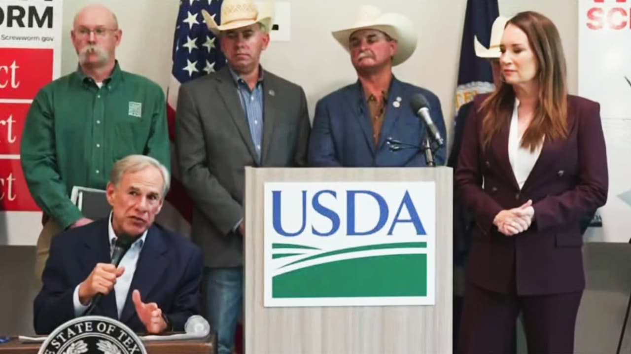 Gusano barrenador: confirman cuatro casos en Texas y refuerzan medidas sanitarias