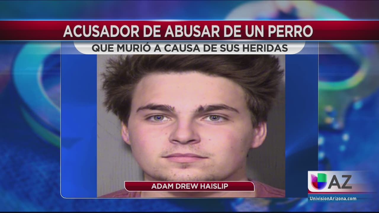 Acusan a un hombre de maltrato animal por la muerte de un perro