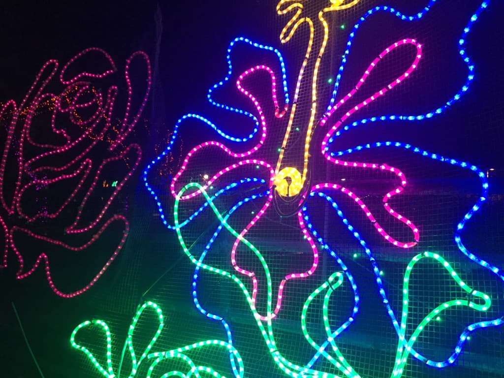 Los animales dibujados con luces y las flores son parte de las atracciones del zoológico.