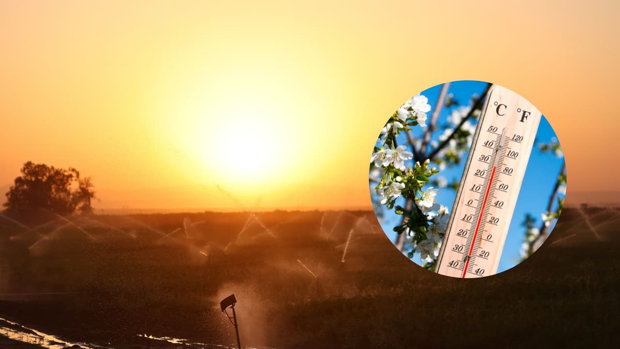 Construir tu aire acondicionado casero, te tomará menos de una hora, pero los beneficios serán prolongados para todos en casa. 
<br>
<br>Toma lápiz y papel y vamos con la lista de materiales. Este es el paso a paso. 
<br>