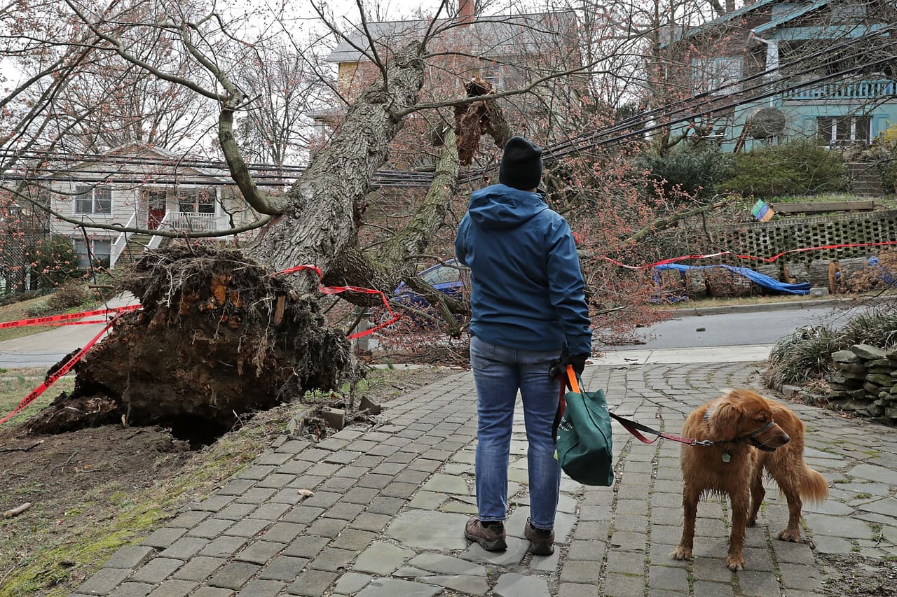 El parque Takoma, en Maryland, ya ha comenzado a sentir los efectos de la tormenta. Para esta zona
<b>se esperan ráfagas de viento de hasta 70 millas por hora.</b>