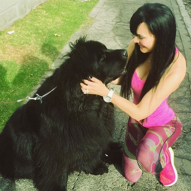 La siempre bella Maribel Guardia es otra famosa fanática de los canes.