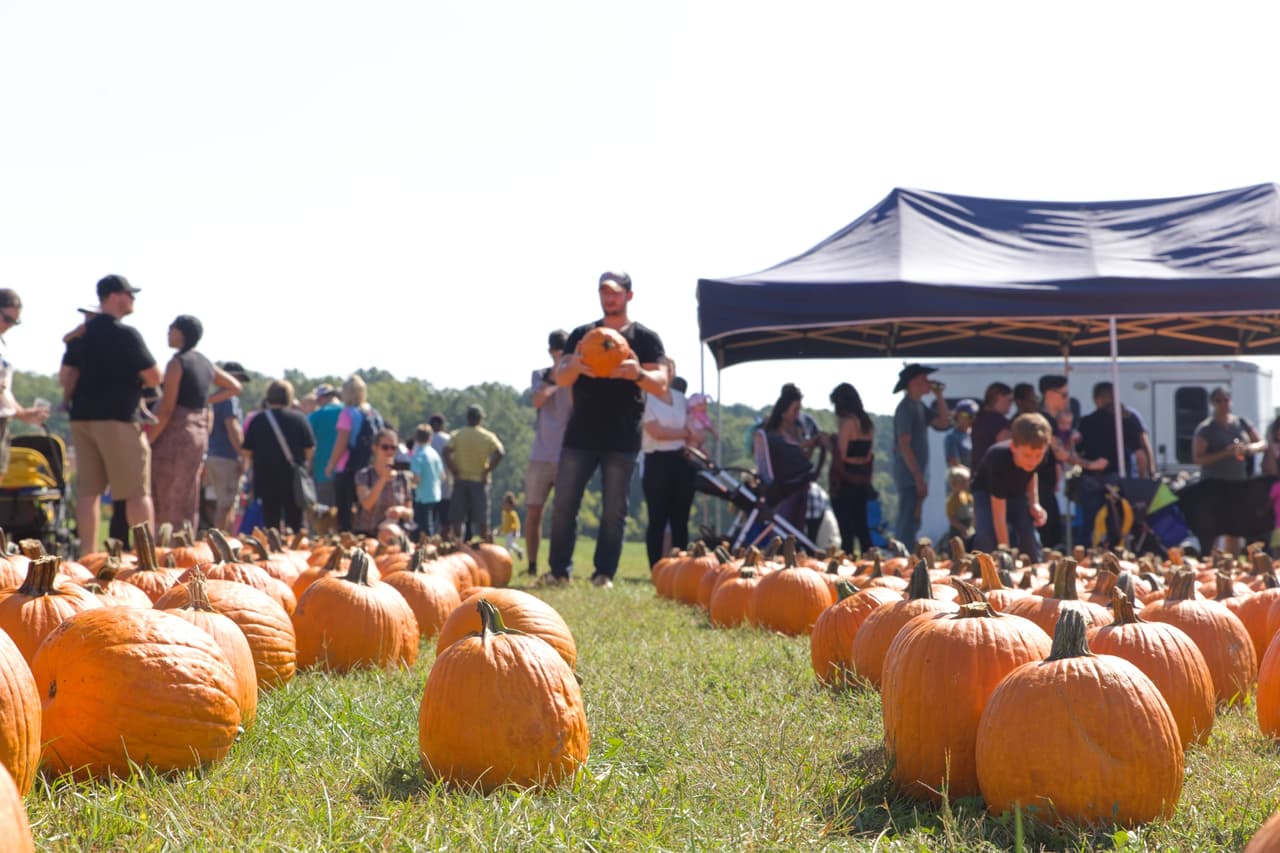 <b>Falling for Local at Dorothea Dix Park</b>
<br>
<b>Fecha</b>: 7 de octubre
<br>
<b>Lugar</b>: Dorothea Dix Park. 1030 Richardson Dr. Raleigh, NC.
<br>
<b>Sitio web</b>: 
<a href="https://shoplocalraleigh.org/slr-events/falling-for-local-dix-park/">https://shoplocalraleigh.org/slr-events/falling-for-local-dix-park/</a> 
<br>
<br>Esta celebración del otoño y de las empresas locales presenta a fabricantes, vendedores, camiones de comida, cerveza y vino locales, así como paseos en heno e inflables gratuitos, e incluso un huerto de calabazas.