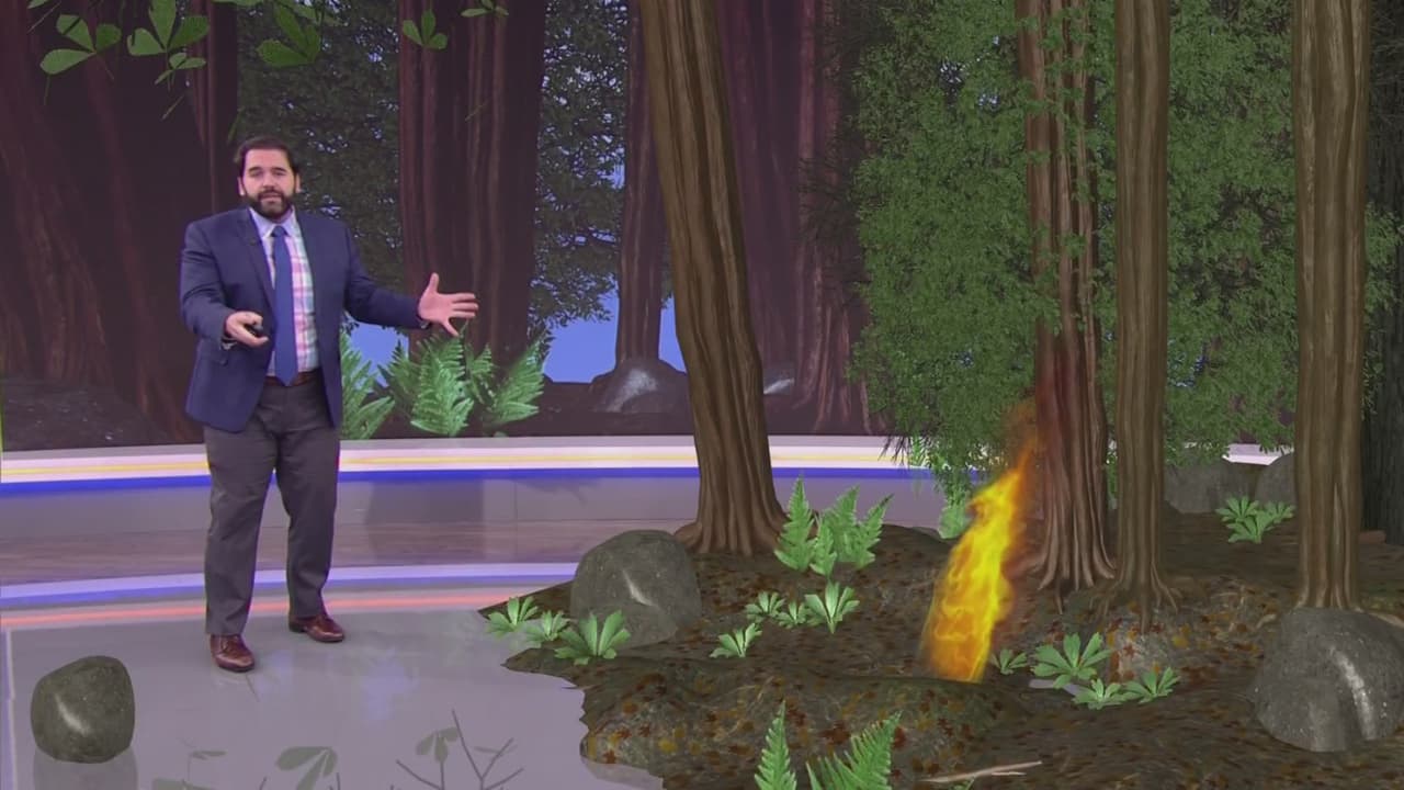 Así fue como nos detalló 
<a href="https://www.univision.com/shows/despierta-america/como-se-producen-los-incendios-forestales-albert-martinez-tiene-la-respuesta-video">cómo se producen los incendios forestales</a>, además de la forma en que podemos prepararnos si vivimos en una zona propensa a ellos.