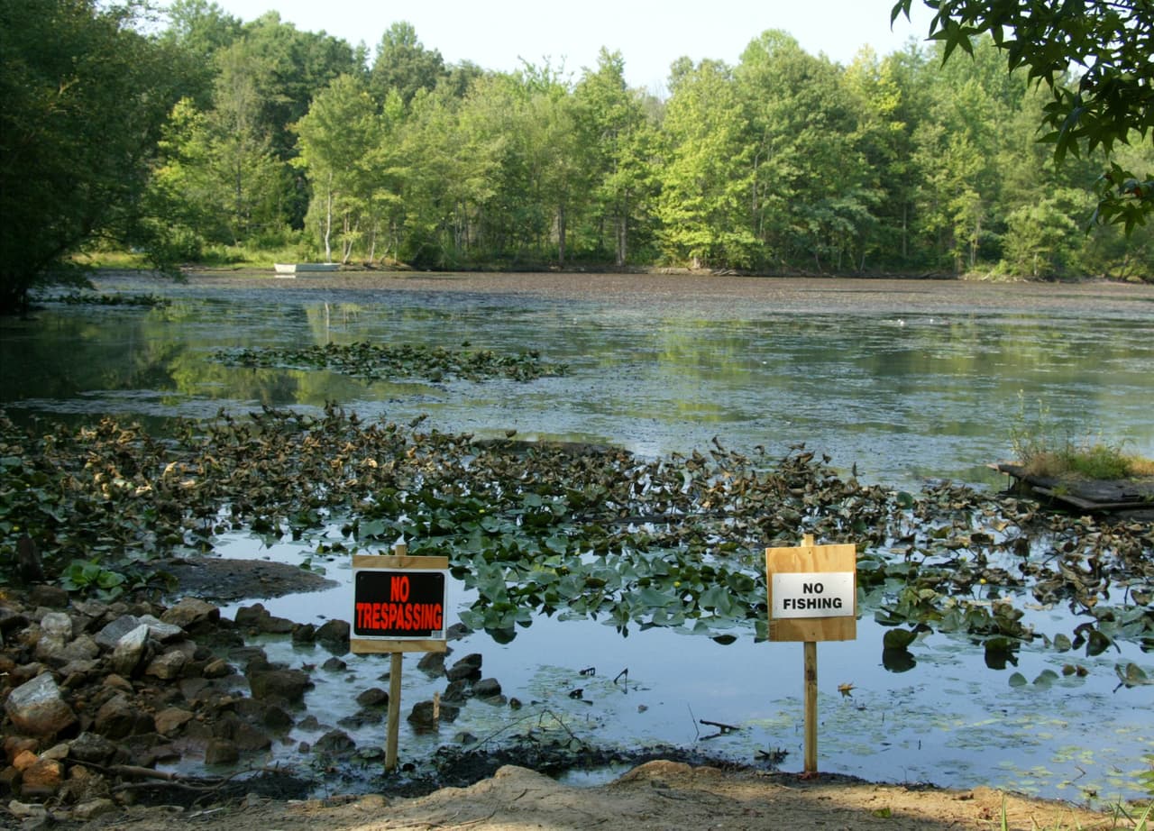 Encuentra más información sobre el cabeza de serpiente
<b><a href="https://georgiawildlife.com/sites/default/files/wrd/pdf/fact-sheets/Snakehead%20Poster%20One%20Pager%20GA%20100819.pdf" target="_blank">aquí</a></b>.