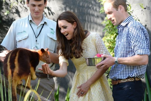 Kate Middlenton también mostró su lado tierno al ser captada acariciando a los curiosos inquilinos de zoo.