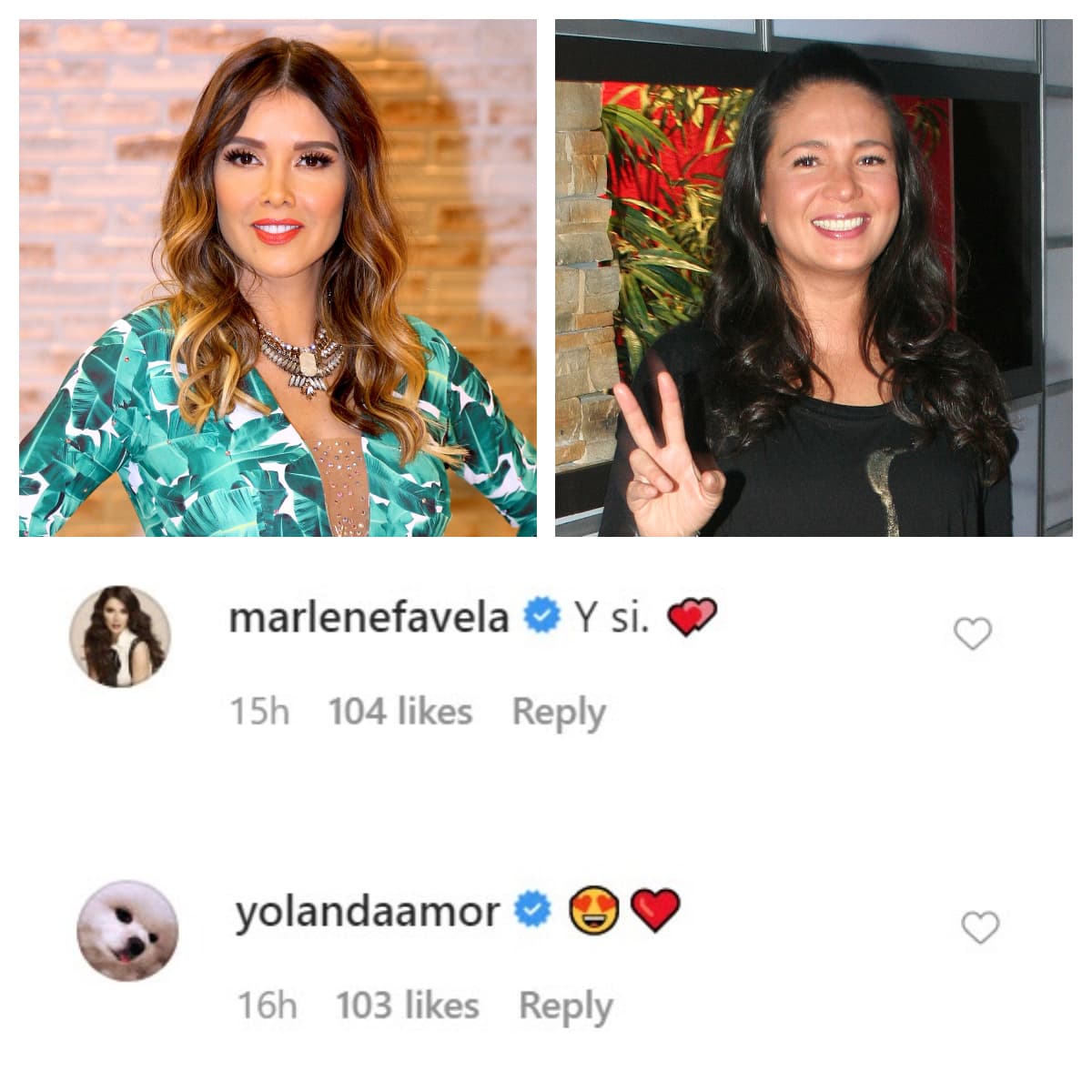 <b><a href="https://www.univision.com/famosos/yolanda-andrade-confiesa-que-engano-a-montserrat-oliver-con-veronica-castro-fotos" target="_blank">Yolanda Andrade</a></b> y 
<b><a href="https://www.univision.com/famosos/es-la-primera-vez-que-lo-cuento-marlene-favela-revela-una-premonicion-cumplida-sobre-los-ojos-de-su-hija-video" target="_blank">Marlene Favela</a> </b>también le mostraron su afecto en estos momentos complicados que vive la actriz de 
<b><a href="https://www.univision.com/shows/las-amazonas" target="_blank">Las Amazonas. </a></b>
<br>